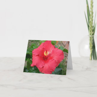 母の日カード カード