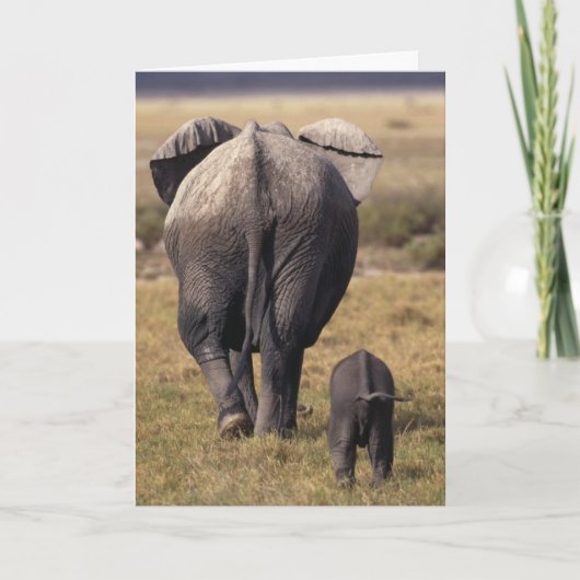 母の日カード カード (正面)