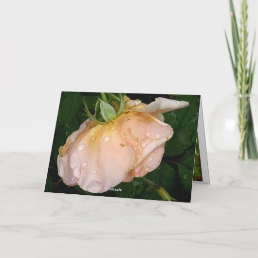 母の日カード: 常にそこに カード (裏面)