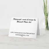 母の日ゴールデンレトリエバーカード カード (裏面)