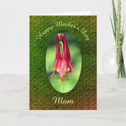 母の日サンキューママオダマキ(植物)花 カード (正面)