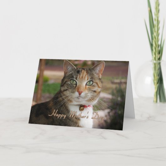 母の日ゼネラル カード (正面)