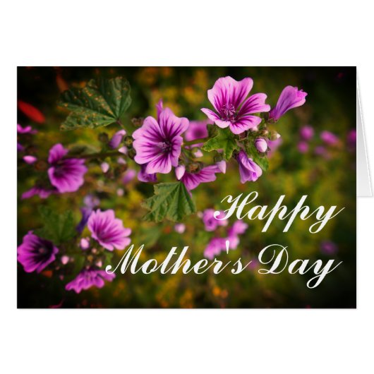 母の日ゼブラホックフラワーズ#2カード (正面横)