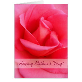 母の日ピンクのバラ