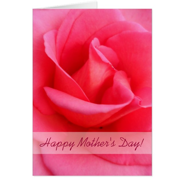 母の日ピンクのバラ (正面)