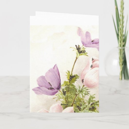 母の日フローラ カード (裏面)