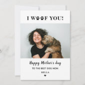 母の日ペット犬のママ写真かわいいハート シーズンカード (正面)