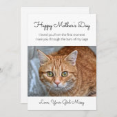 母の日レスキュー猫のホリデーカード シーズンカード (正面/裏面)