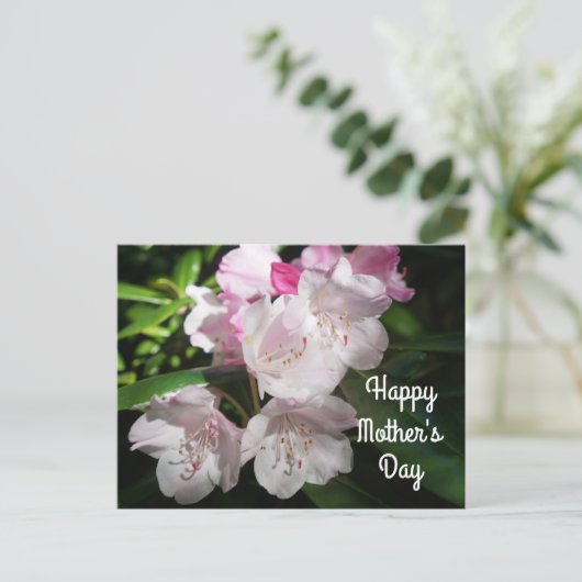 母の日桜さくらんぼブロッサム#2はがき ポストカード (スタンド正面)