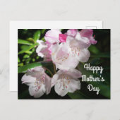 母の日桜さくらんぼブロッサム#2はがき ポストカード (正面/裏面)