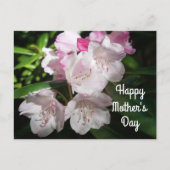 母の日桜さくらんぼブロッサム#2はがき ポストカード (正面)