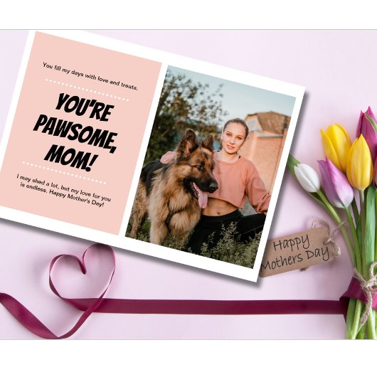 母の日犬ママかわいいペットの写真 シーズンカード