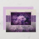 母の日薄紫 ポストカード (正面/裏面)