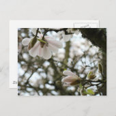 母の日20ギフトカード母ママ ポストカード (正面/裏面)