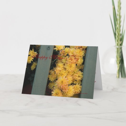 母の日2008のカード カード (正面)