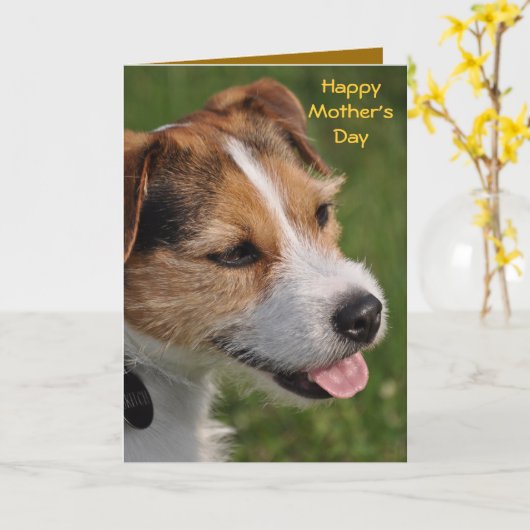 母の日 カード (黄色い花)