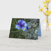 母の日 カード (黄色い花)