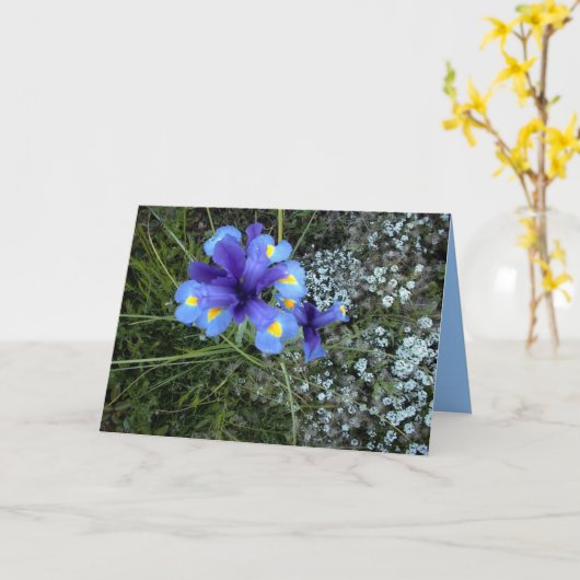 母の日 カード (黄色い花)