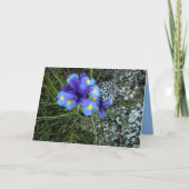 母の日 カード (正面)