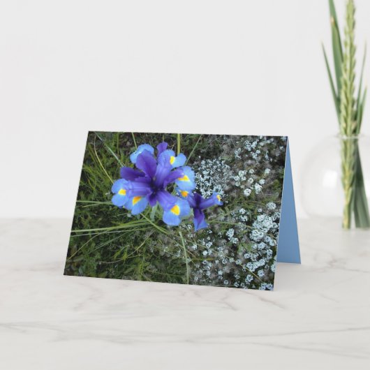 母の日 カード (正面)