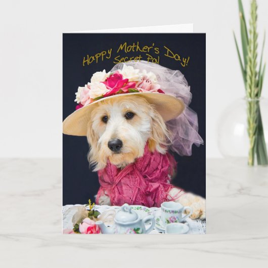 母の日 – シークレットパル – ケイティコレクション カード (正面)