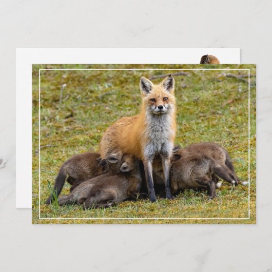 母の日 シーズンカード (正面/裏面)