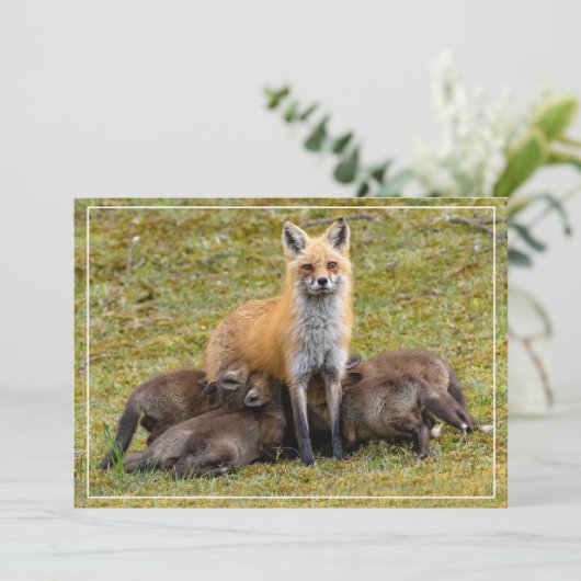 母の日 シーズンカード (スタンド正面)