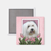 母の日 – ピンクのチューリップ – コトン・ド・チュラー マグネット (正面/裏面)