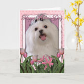 母の日-ピンクのチューリップ-マルチーズ カード (黄色い花)