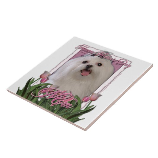 母の日-ピンクのチューリップ-マルチーズ タイル (側面)