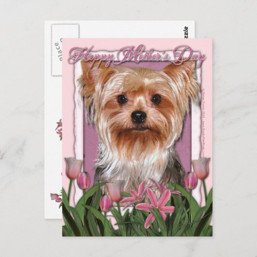 母の日-ピンクのチューリップ-ヨークシャテリア ポストカード (正面/裏面)
