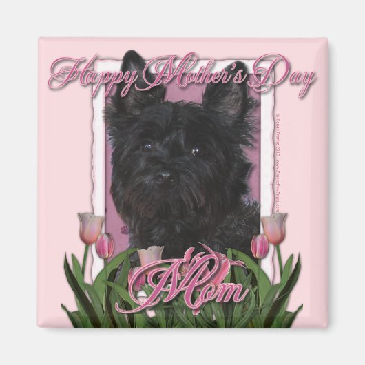母の日 – ピンクのチューリップ – Cairn Terrier - Rosco マグネット (正面)