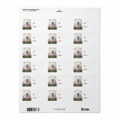 母の日 – ピンクチューリップ – Bichon Frise ラベル (フルシート)