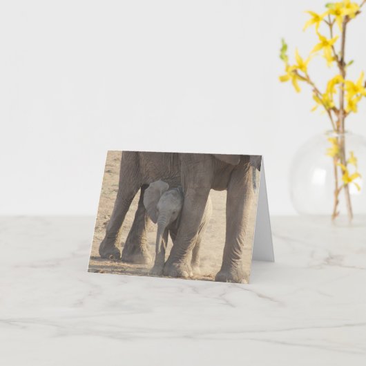 母の日(ベビー象) カード (黄色い花)