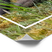 母の日 ポスター (角)