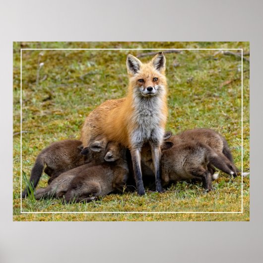 母の日 ポスター (正面)