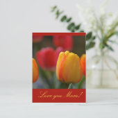 母の日 ポストカード (スタンド正面)