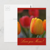 母の日 ポストカード (正面/裏面)