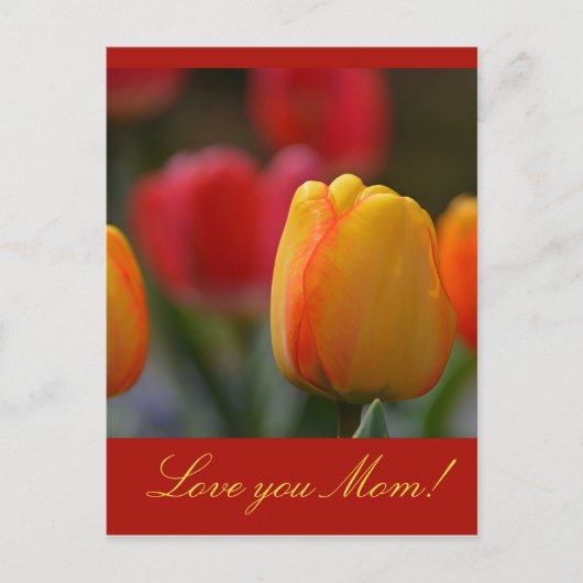 母の日 ポストカード (正面)