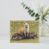 母の日 ポストカード (スタンド正面)