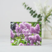 母の日-ライラックの木 ポストカード (スタンド正面)