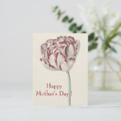 母の日 – ヴィンテージファインアートホワイト&レッドチューリップ ポストカード (スタンド正面)