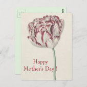 母の日 – ヴィンテージファインアートホワイト&レッドチューリップ ポストカード (正面/裏面)