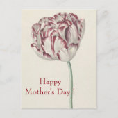 母の日 – ヴィンテージファインアートホワイト&レッドチューリップ ポストカード (正面)