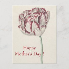 母の日 – ヴィンテージファインアートホワイト&レッドチューリップ ポストカード