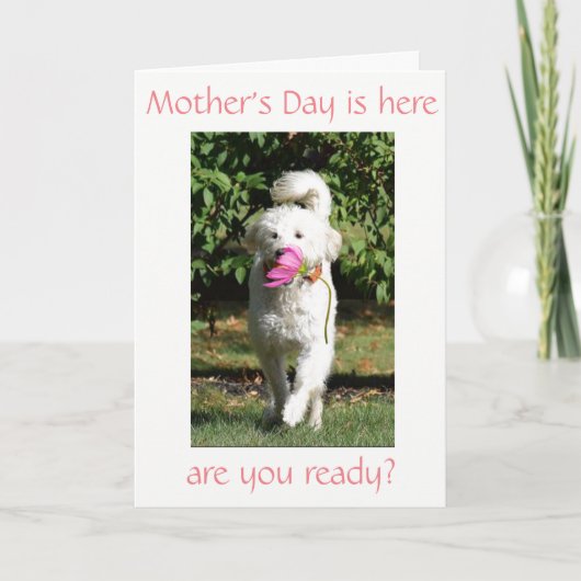 母の日***母***特別の願い カード (正面)