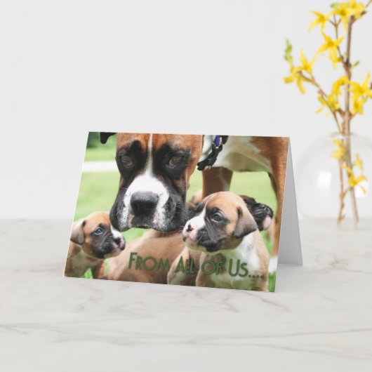 母の日-私達皆からボクサーの子犬- Vindy カード (黄色い花)