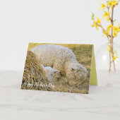 母の日，農場の風景，母とのベビー，子羊， カード (黄色い花)