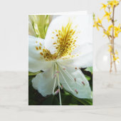 母の日Rhody カード (黄色い花)