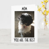 母の最高の最高のの誕生日 カード (黄色い花)